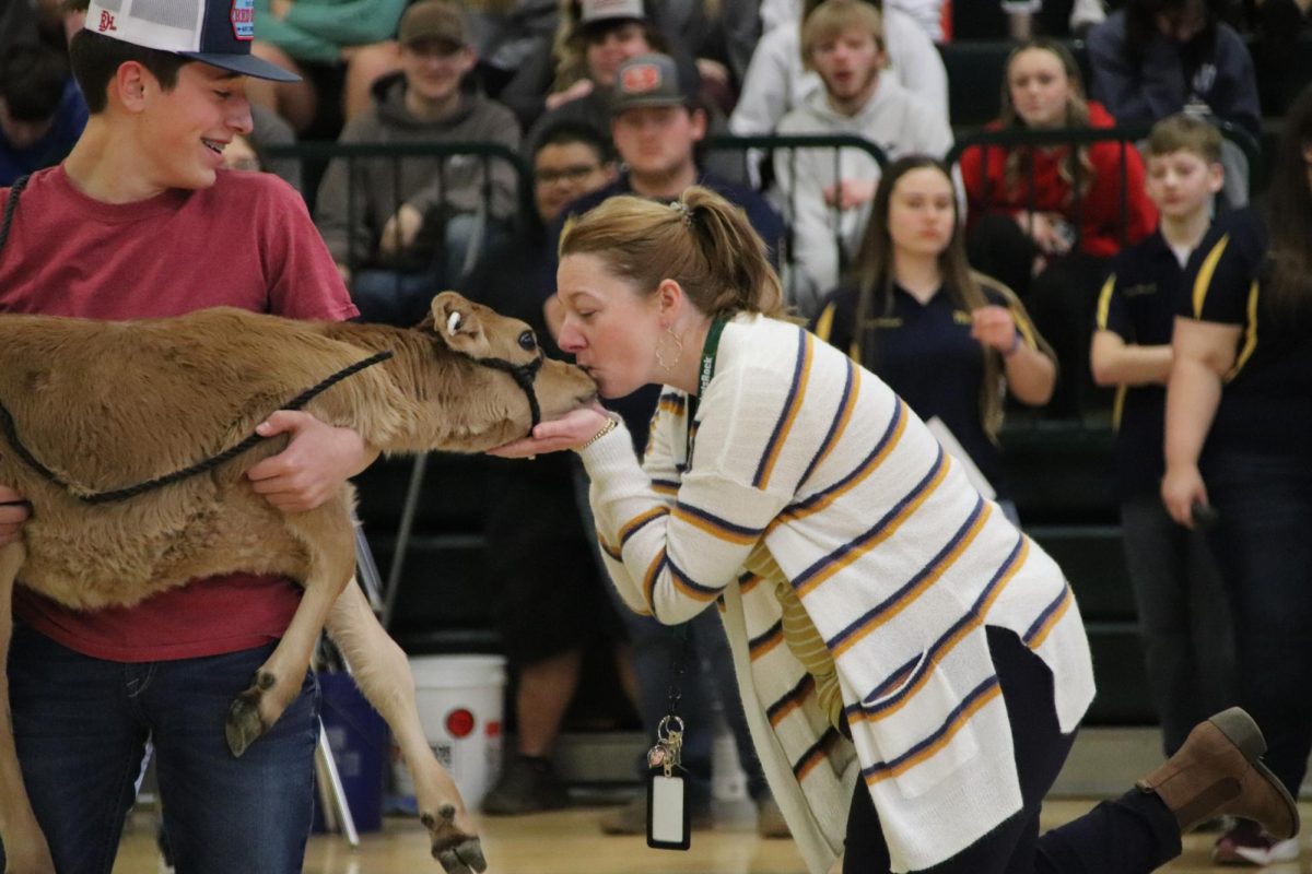 Puckering+up%2C+Mrs.+Jamie+Zimmerman+%28staff%29+kisses+a+calf+at+the+2024+FFA+Ag+Olympics.+The+student+body+chose+Zimmerman+as+the+honorary+calf+kisser+through+donations+to+Heifer+International.