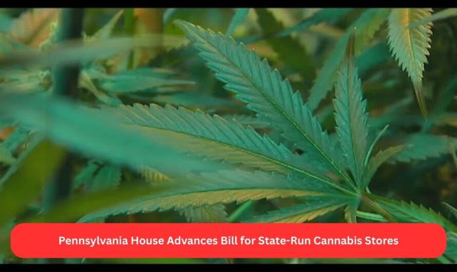 Pennsylvania House Advances Bill for State-Run Cannabis Stores