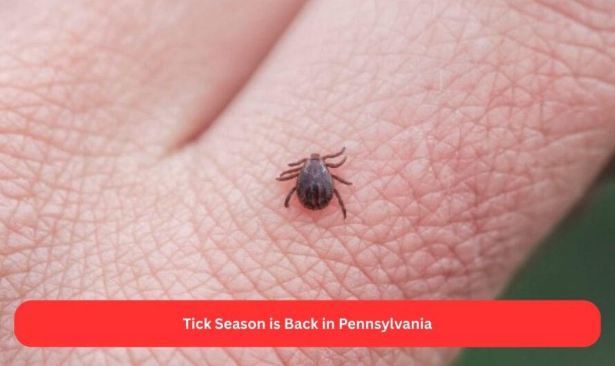 Tick Season is Back in Pennsylvania