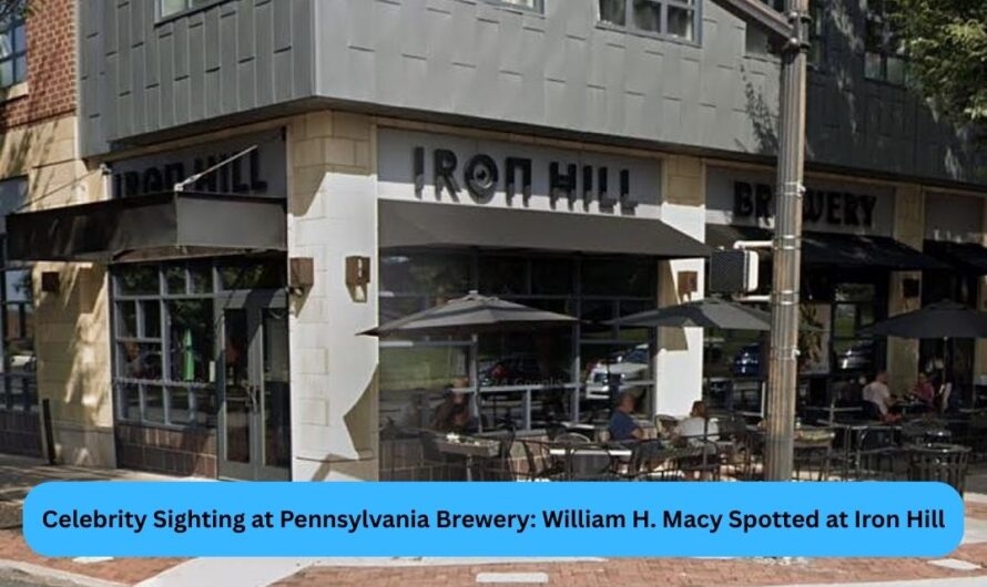 Celebrity Sighting at Pennsylvania Brewery: William H. Macy Spotted at Iron Hill