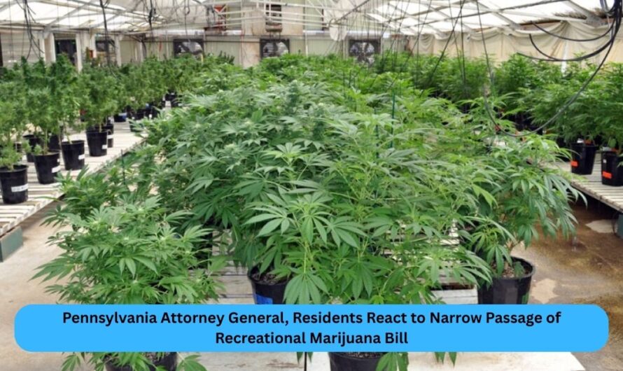 Pennsylvania Attorney General, Residents React to Narrow Passage of Recreational Marijuana Bill