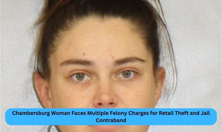 Chambersburg woman charged with over half dozen felonies for string of retail thefts, bringing contraband to Jail