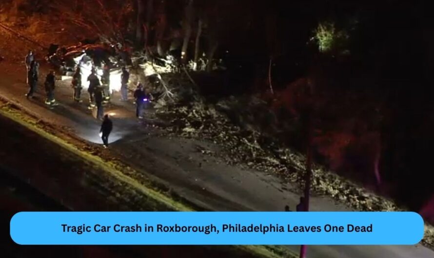 Tragic Car Crash in Roxborough, Philadelphia Leaves One Dead