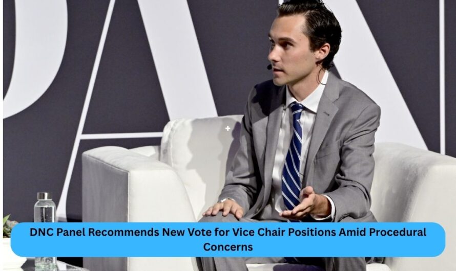 DNC Panel Recommends New Vote for Vice Chair Positions Amid Procedural Concerns