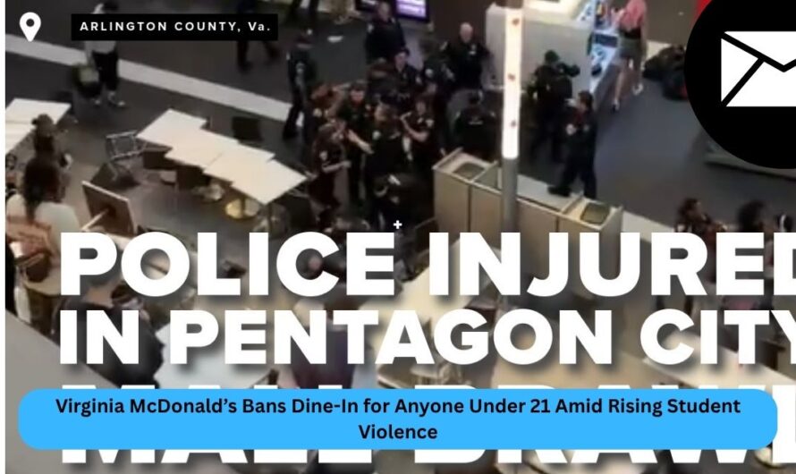 Viral Video: Teen Riot Shuts Down Pentagon City Mall in Arlington, Virginia