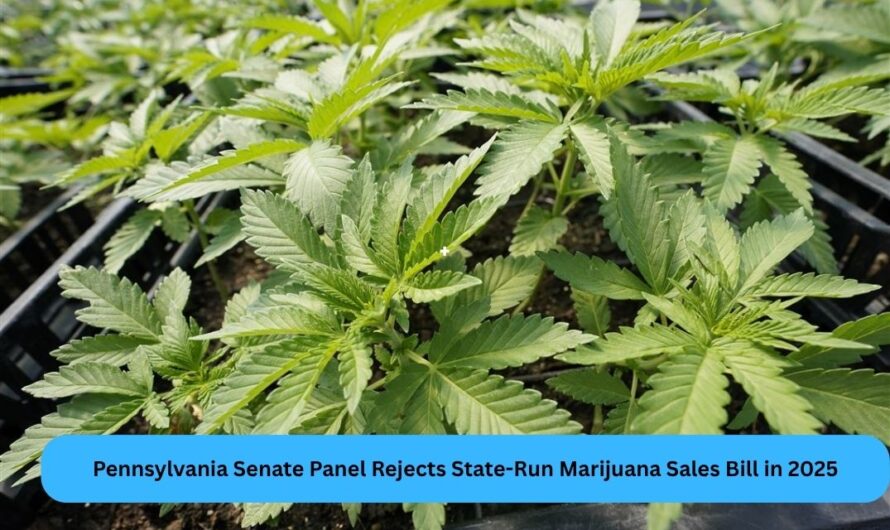 Pennsylvania Senate Panel Rejects State-Run Marijuana Sales Bill in 2025