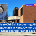 3-Year-Old Girl Recovering After Dog Attack in Kent, Owner 'Just Disappeared,' Father Says