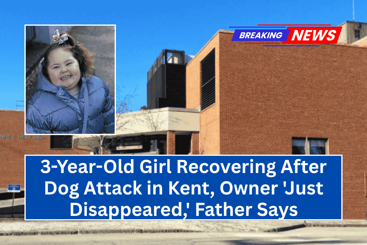 3-Year-Old Girl Recovering After Dog Attack in Kent, Owner 'Just Disappeared,' Father Says