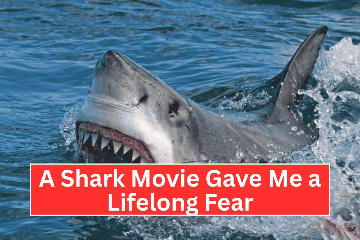 A Shark Movie Gave Me a Lifelong Fear