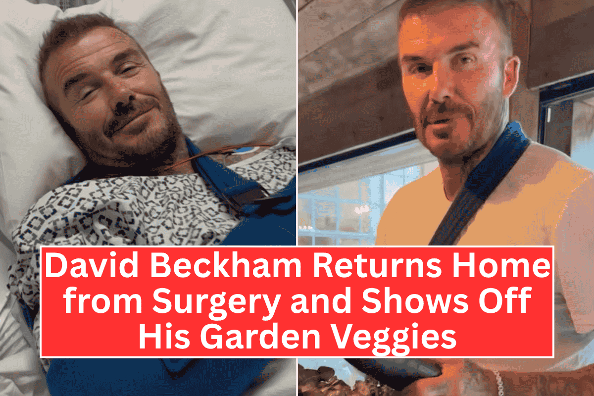 David Beckham Returns Home from Surgery and Shows Off His Garden Veggies
