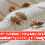 Insect Invasion: 5 New Mexico Cities Combatting Bed Bug Onslaught