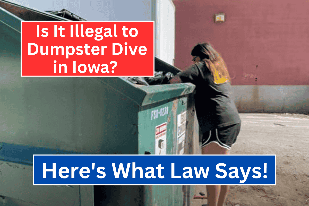 Is It Illegal to Dumpster Dive in Iowa Here’s What the Law Says