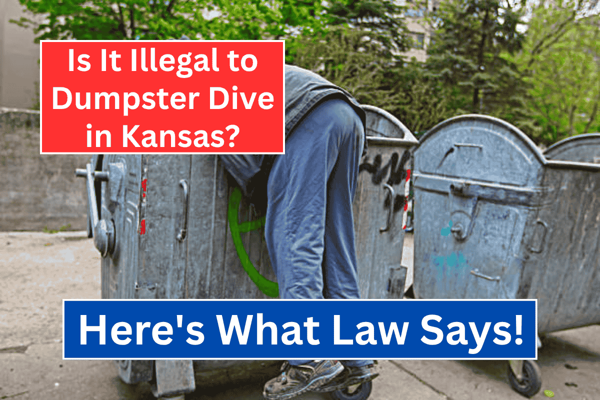 Is It Illegal to Dumpster Dive in Kansas? Here’s What the Law Says