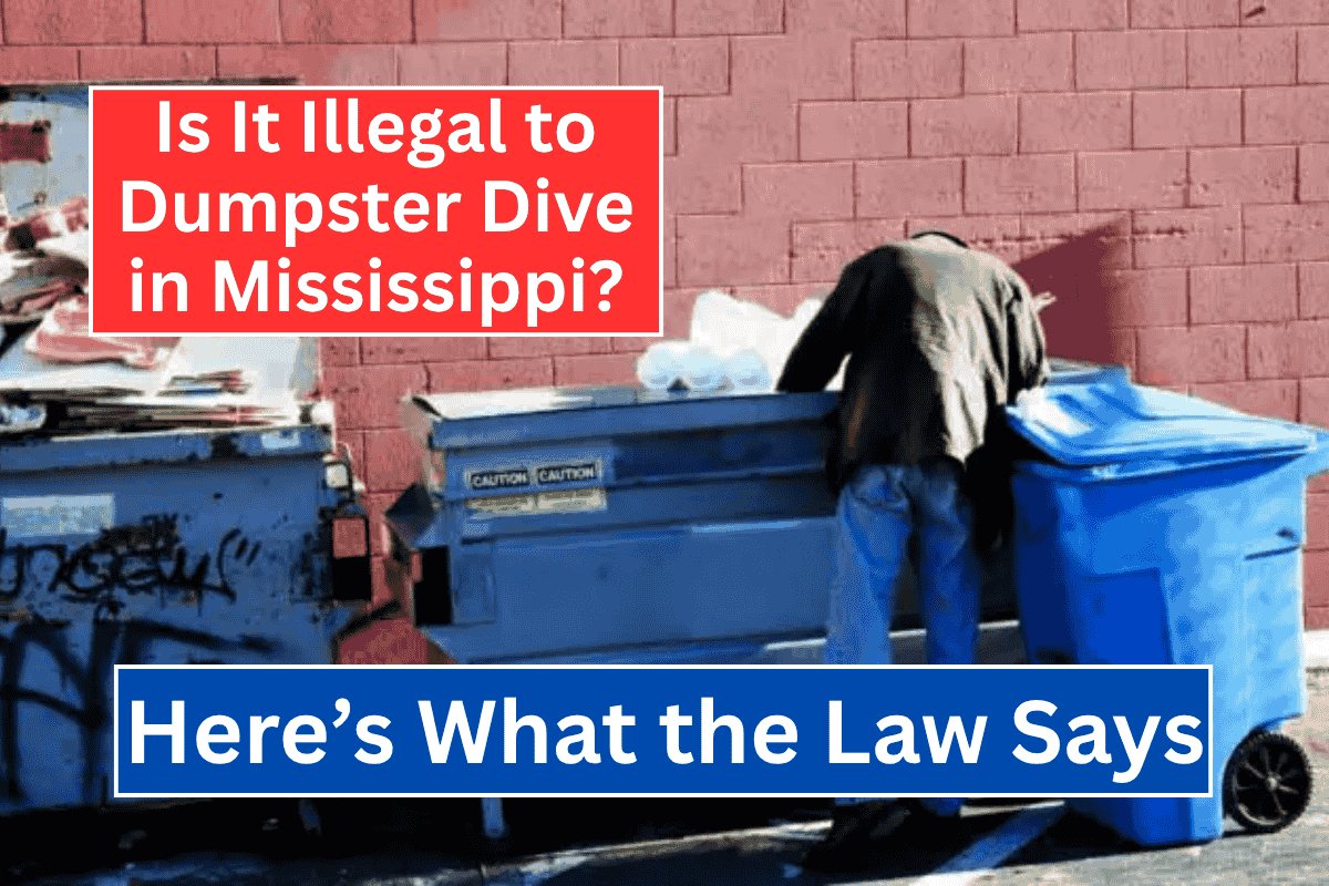 Is It Illegal to Dumpster Dive in Mississippi? Here’s What the Law Says