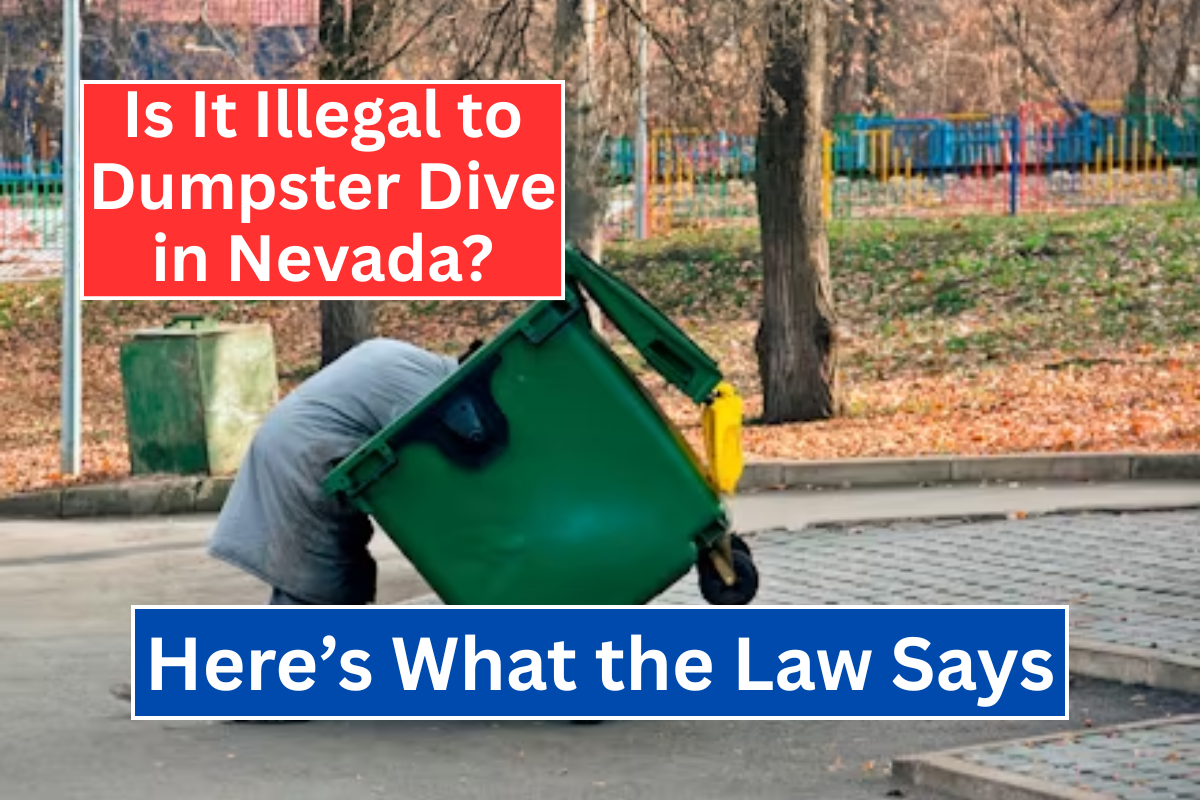 Is It Illegal to Dumpster Dive in Nevada? Here’s What the Law Says