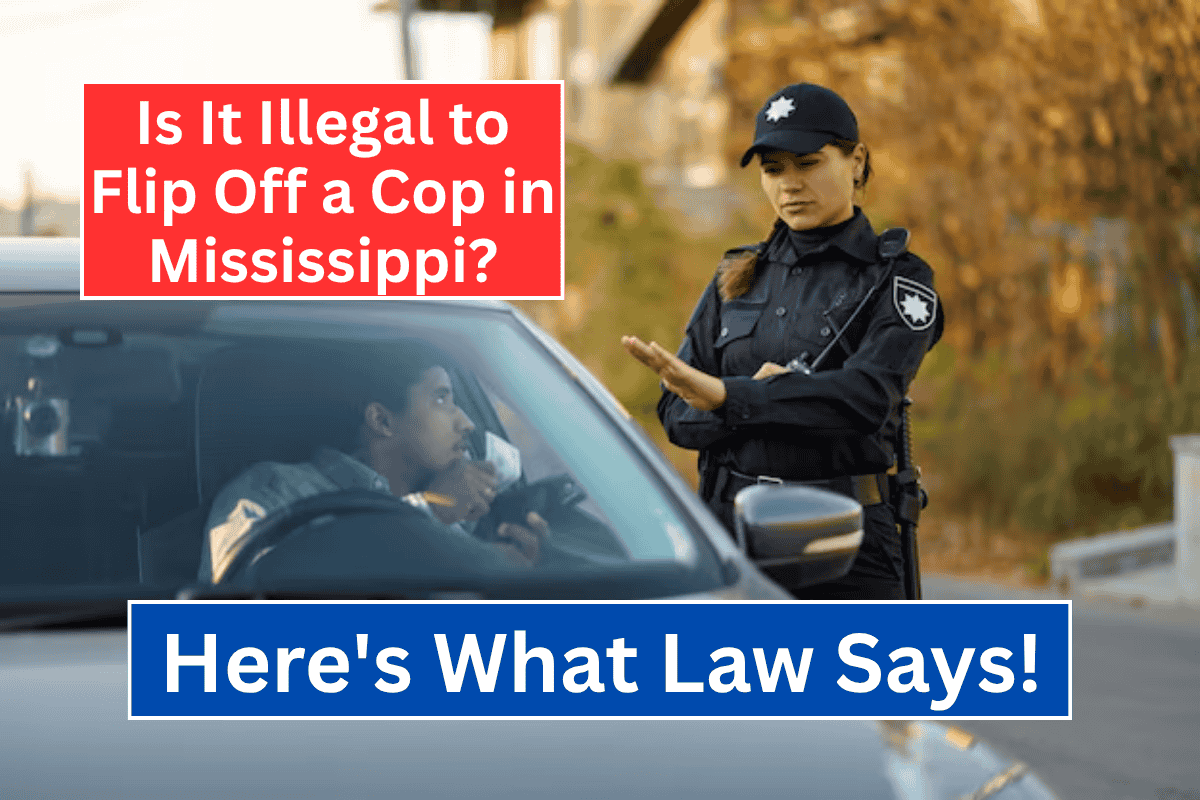 Is It Illegal to Flip Off a Cop in Mississippi? Here's What the Law Says