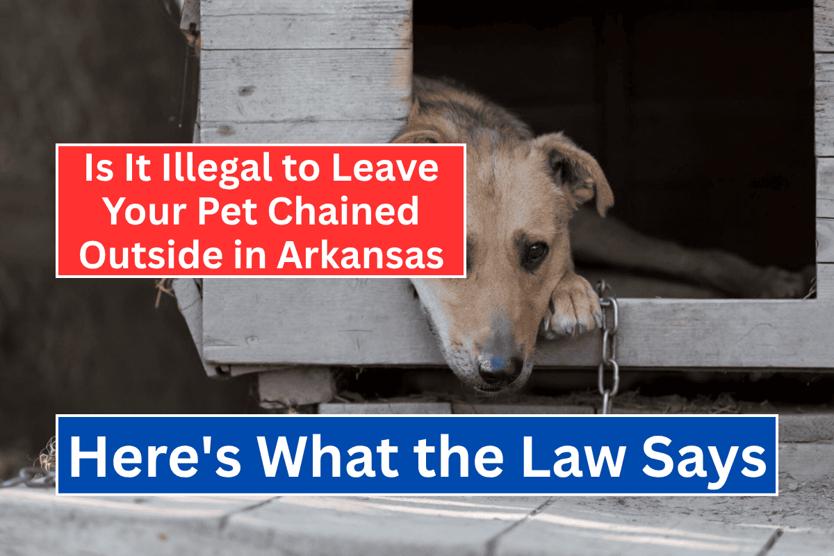 Is It Illegal to Leave Your Pet Chained Outside in Arkansas Here's What the Law Says