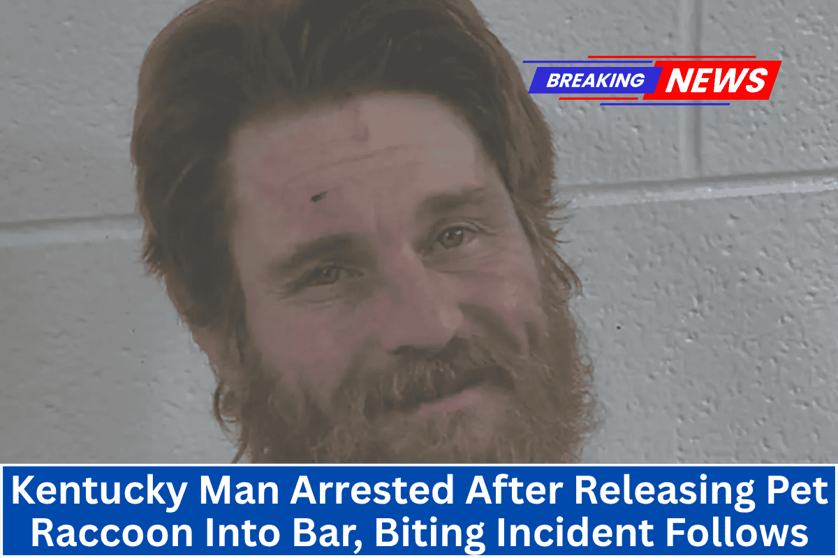 Kentucky Man Arrested After Releasing Pet Raccoon Into Bar, Biting Incident Follows