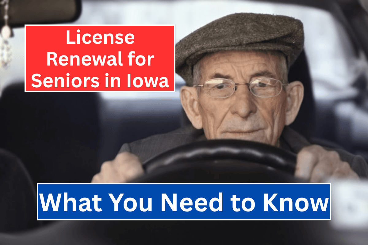 License Renewal for Seniors in Iowa: What You Need to Know