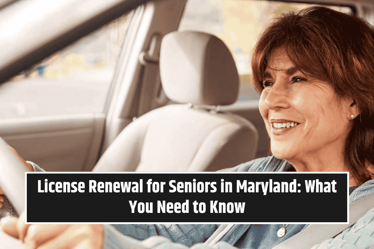 License Renewal for Seniors in Maryland: What You Need to Know