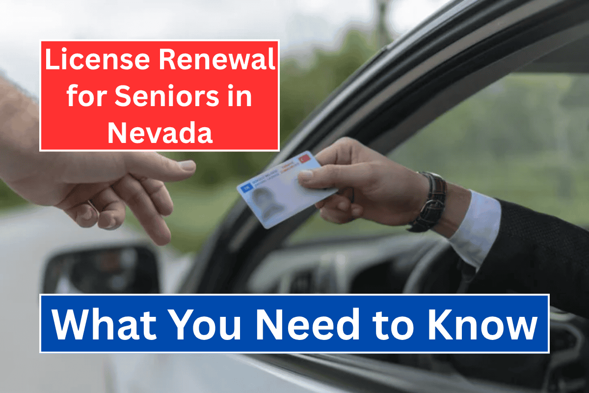 License Renewal for Seniors in Nevada: What You Need to Know