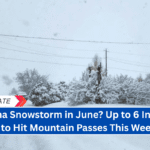 "Montana Snowstorm in June? Up to 6 Inches of Snow to Hit Mountain Passes This Weekend!"