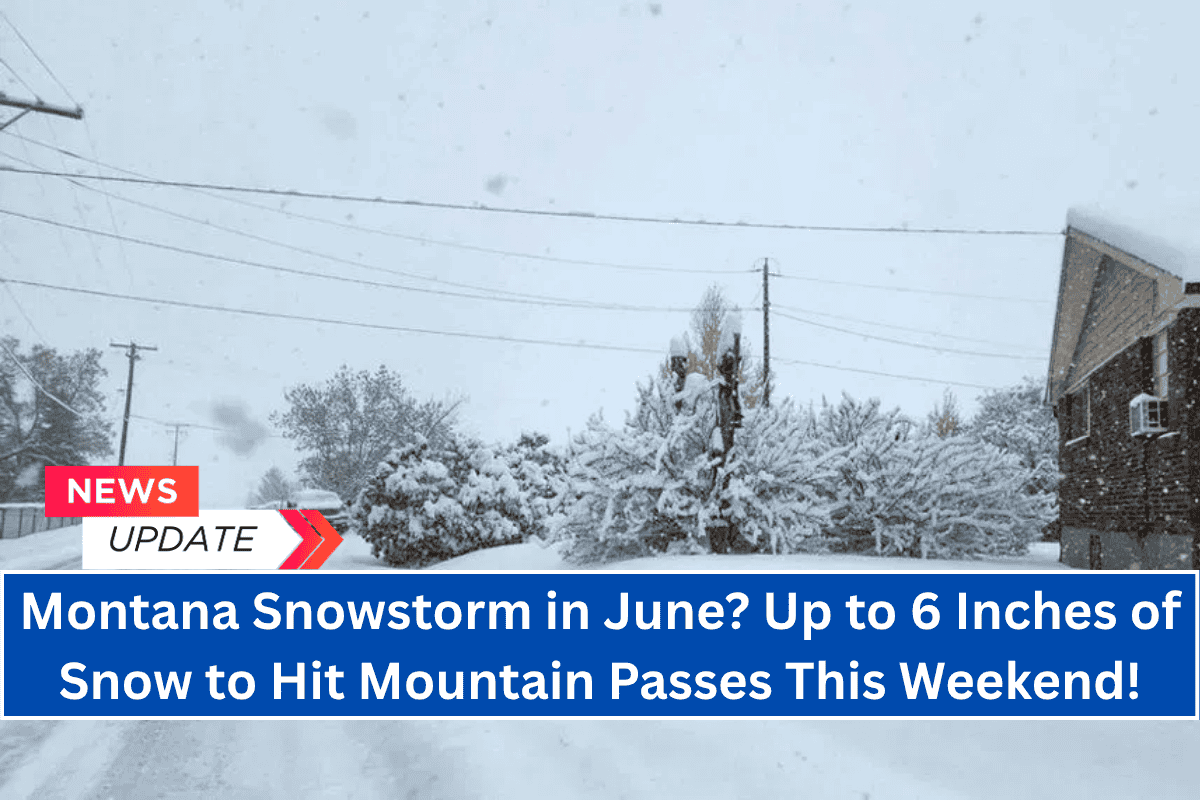 "Montana Snowstorm in June? Up to 6 Inches of Snow to Hit Mountain Passes This Weekend!"