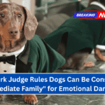 New York Judge Rules Dogs Can Be Considered "Immediate Family" for Emotional Damages