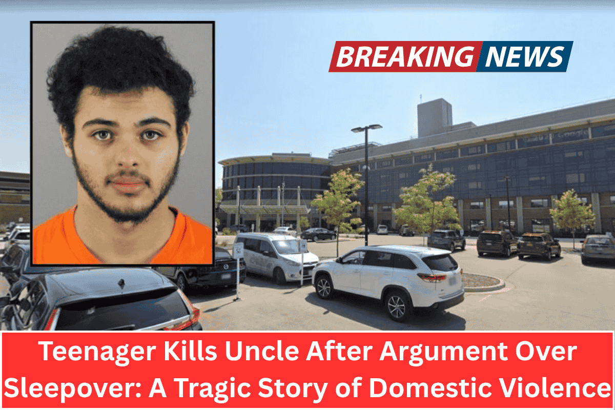 Teenager Kills Uncle After Argument Over Sleepover: A Tragic Story of Domestic Violence
