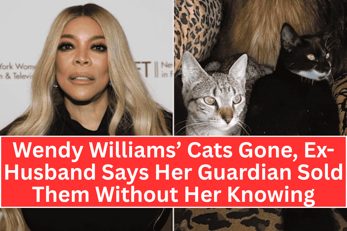 Wendy Williams’ Cats Gone, Ex-Husband Says Her Guardian Sold Them Without Her Knowing"