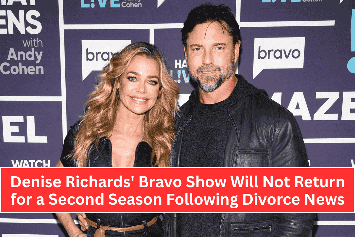 Denise Richards' Bravo Show Will Not Return for a Second Season Following Divorce News