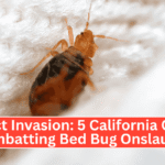 Insect Invasion: 5 California Cities Combatting Bed Bug Onslaught