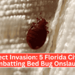 Insect Invasion 5 Florida Cities Combatting Bed Bug Onslaught
