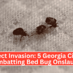 Insect Invasion: 5 Georgia Cities Combatting Bed Bug Onslaught