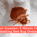 Insect Invasion 5 Illinois Cities Combatting Bed Bug Onslaught