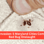 Insect Invasion 5 Maryland Cities Combatting Bed Bug Onslaught