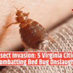 Insect Invasion: 5 Virginia Cities Combatting Bed Bug Onslaught