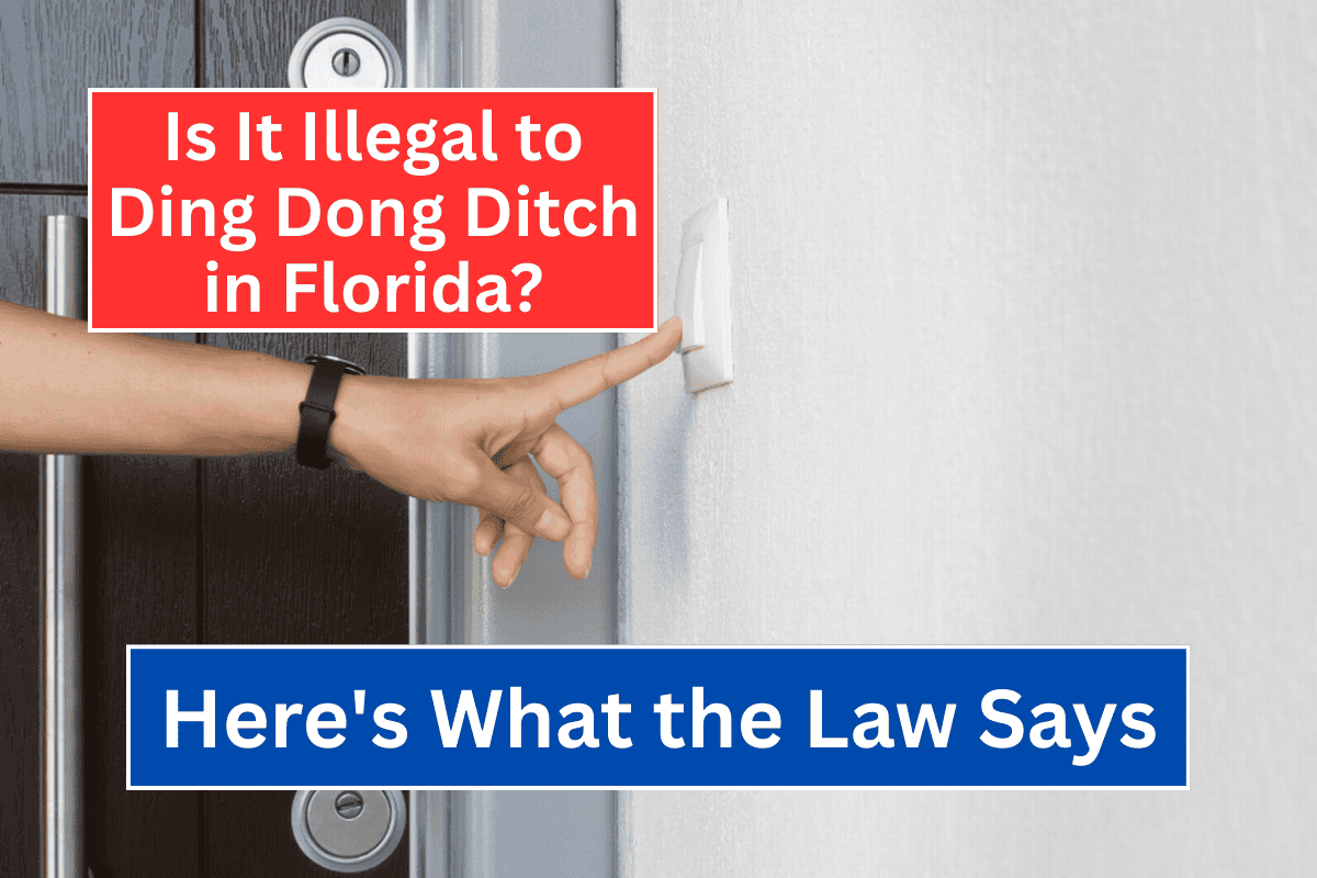 Is It Illegal to Ding Dong Ditch in Florida Here’s What the Law Says