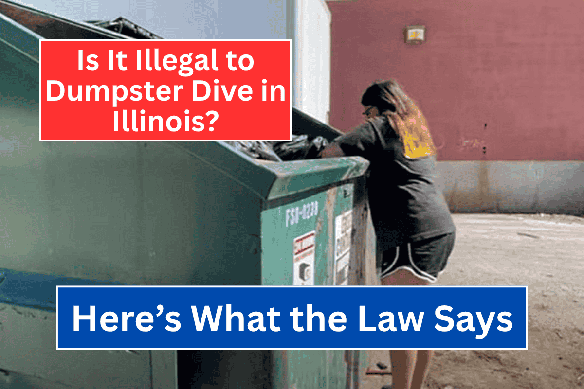 Is It Illegal to Dumpster Dive in Illinois Here’s What the Law Says