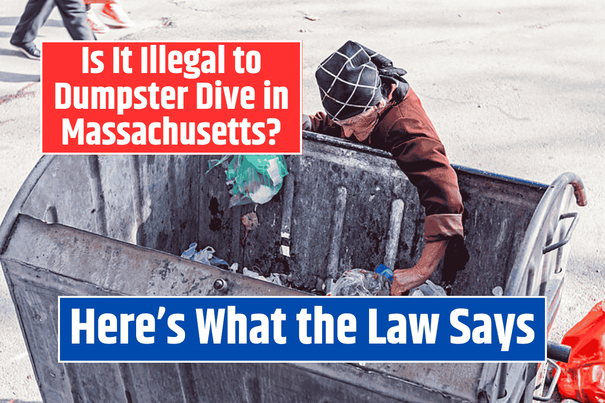 Is It Illegal to Dumpster Dive in Massachusetts? Here’s What the Law Says