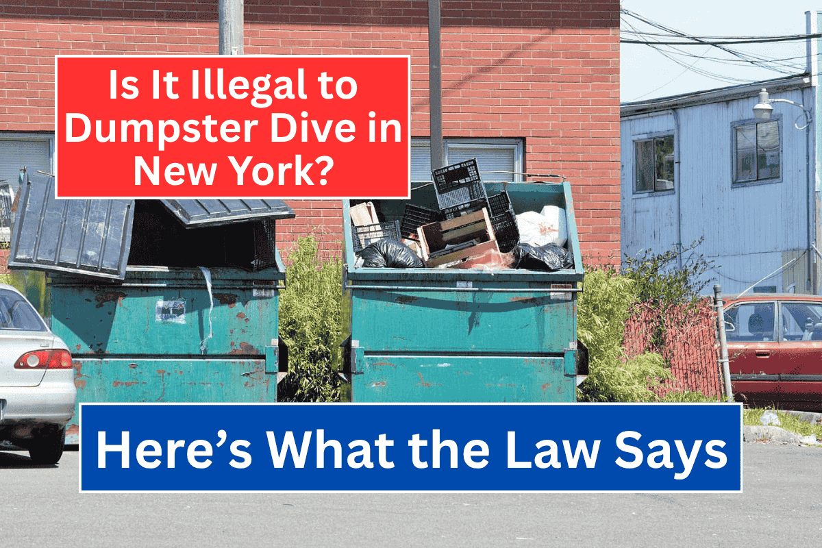 Is It Illegal to Dumpster Dive in New York Here’s What the Law Says
