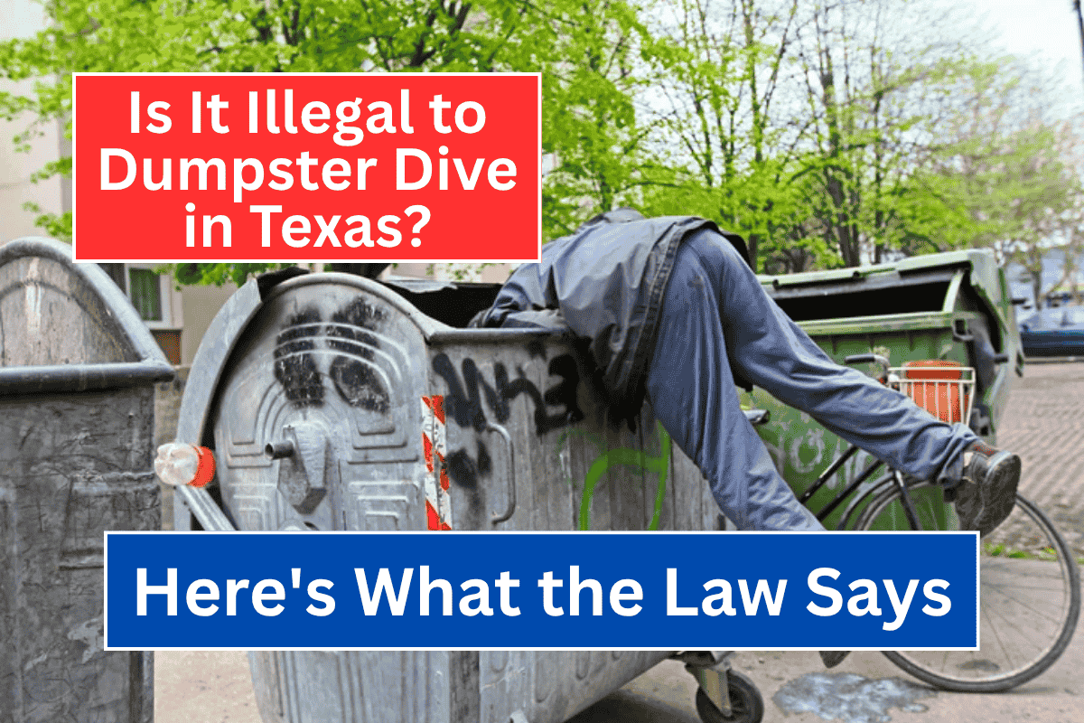 Is It Illegal to Dumpster Dive in Texas Here’s What the Law Says