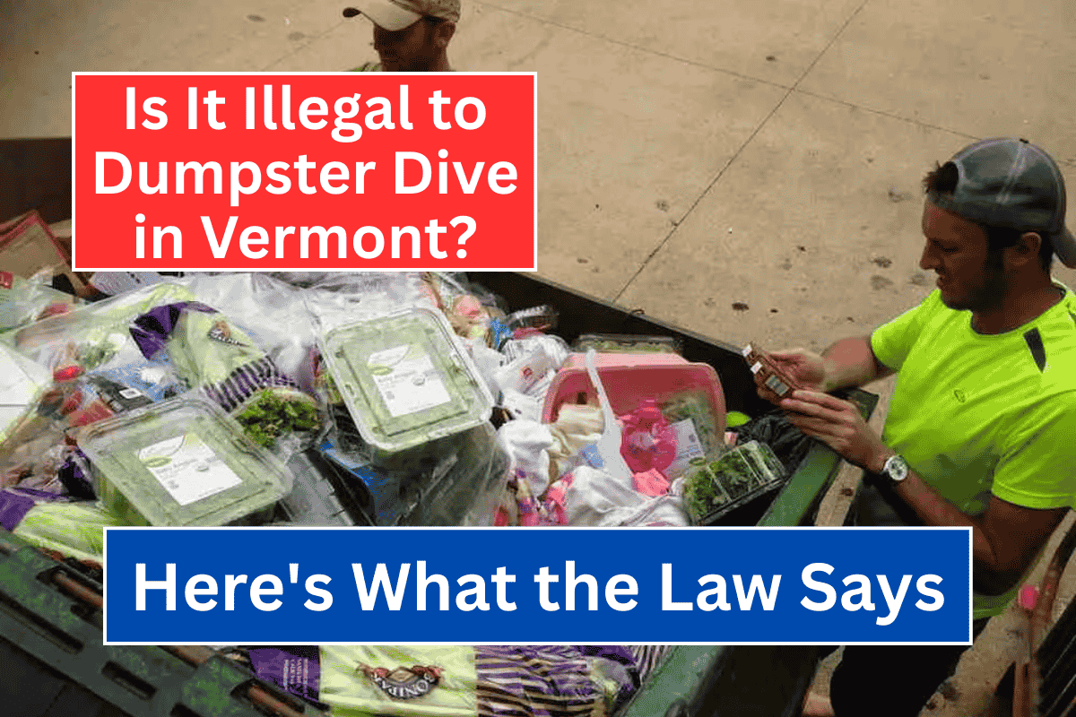 Is It Illegal to Dumpster Dive in Vermont Here’s What the Law Says