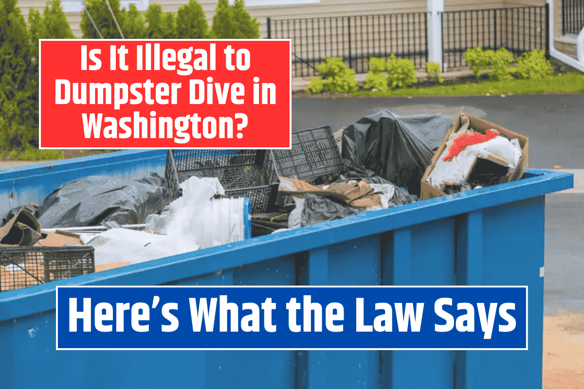 Is It Illegal to Dumpster Dive in Virginia Here’s What the Law Says
