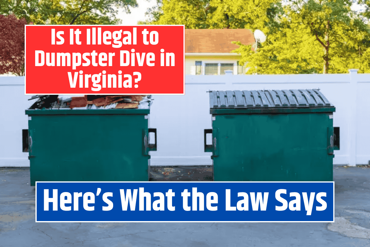 Is It Illegal to Dumpster Dive in Virginia? Here’s What the Law Says