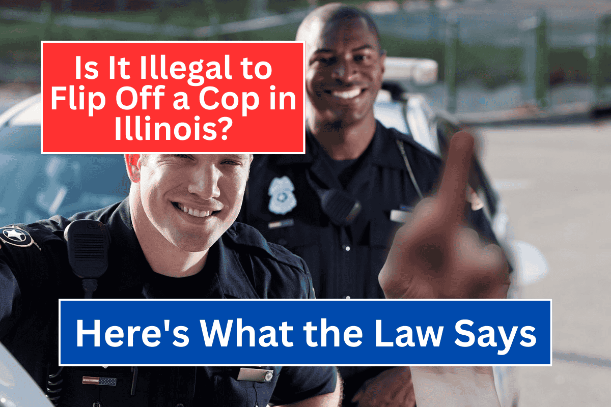 Is It Illegal to Flip Off a Cop in Illinois Here's What the Law Says