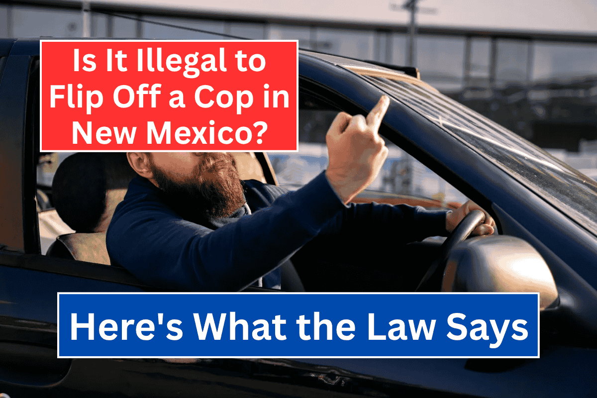 Is It Illegal to Flip Off a Cop in New Mexico Here's What the Law Says