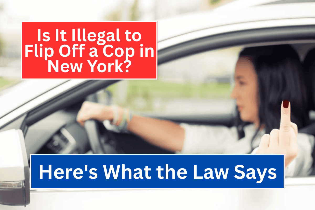 Is It Illegal to Flip Off a Cop in New York Here's What the Law Says