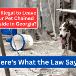 Is It Illegal to Leave Your Pet Chained Outside in Georgia Here's What the Law Says