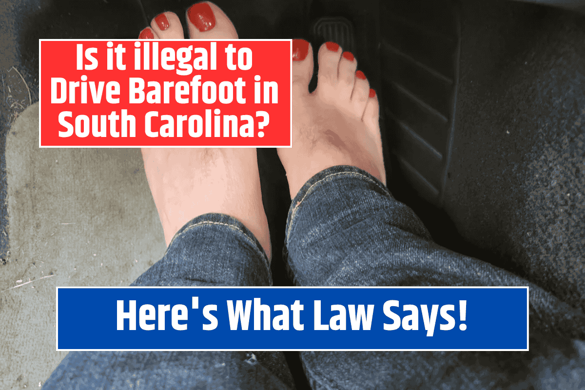 Is it illegal to Drive Barefoot in South Carolina Here's What Law Says!